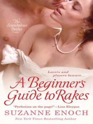 cover image of A Beginner's Guide to Rakes